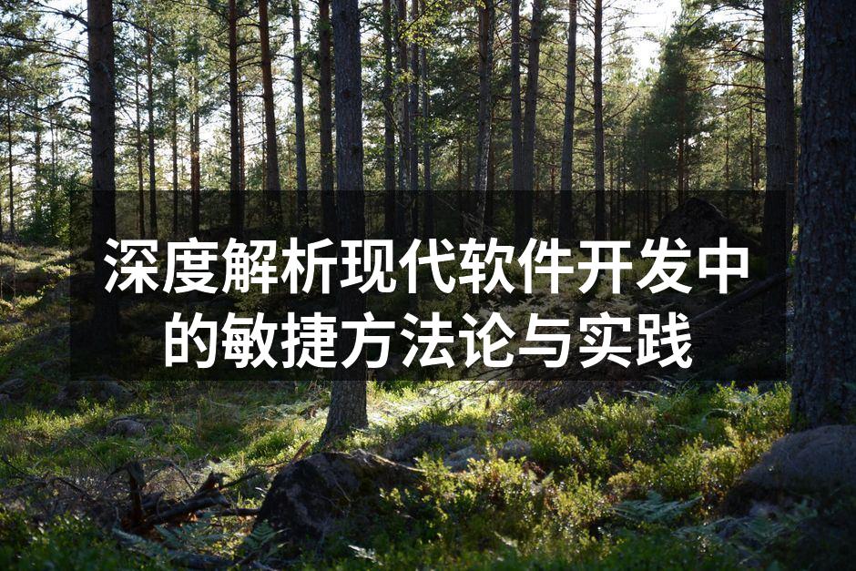深度解析现代软件开发中的敏捷方法论与实践