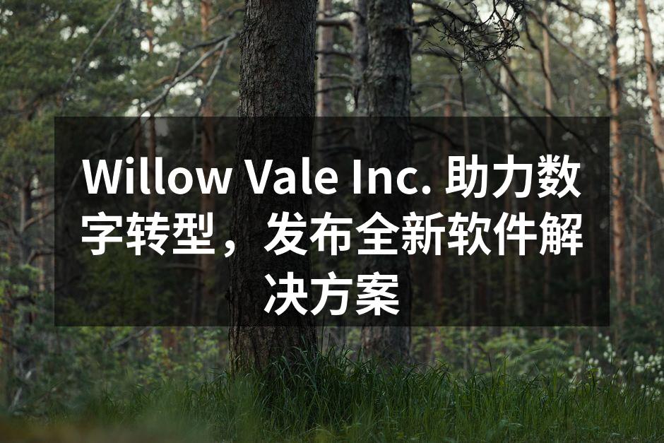 Willow Vale Inc. 助力数
