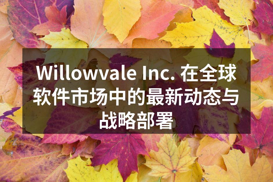 Willowvale Inc. 在全球软