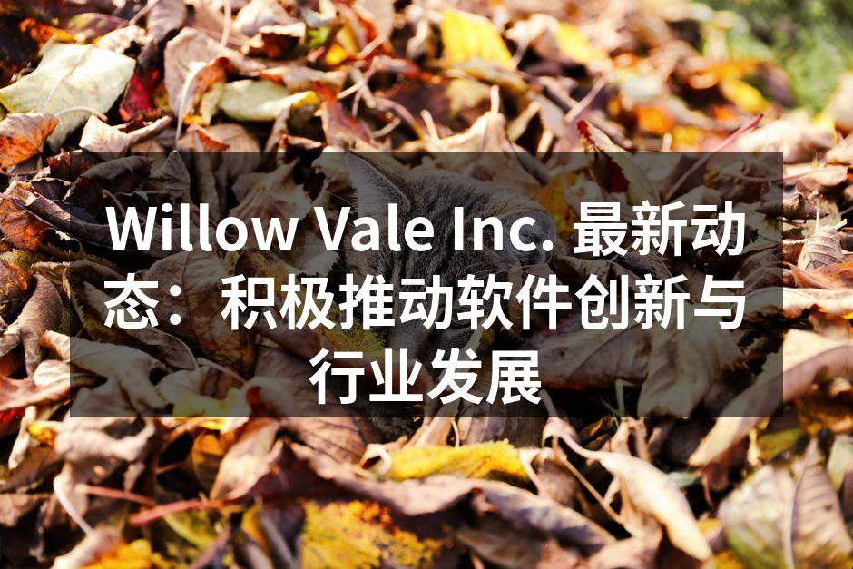 Willow Vale Inc. 最新动